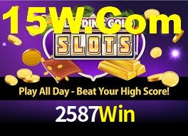 Premium Interface 2587Win