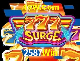 2587Win - Security
